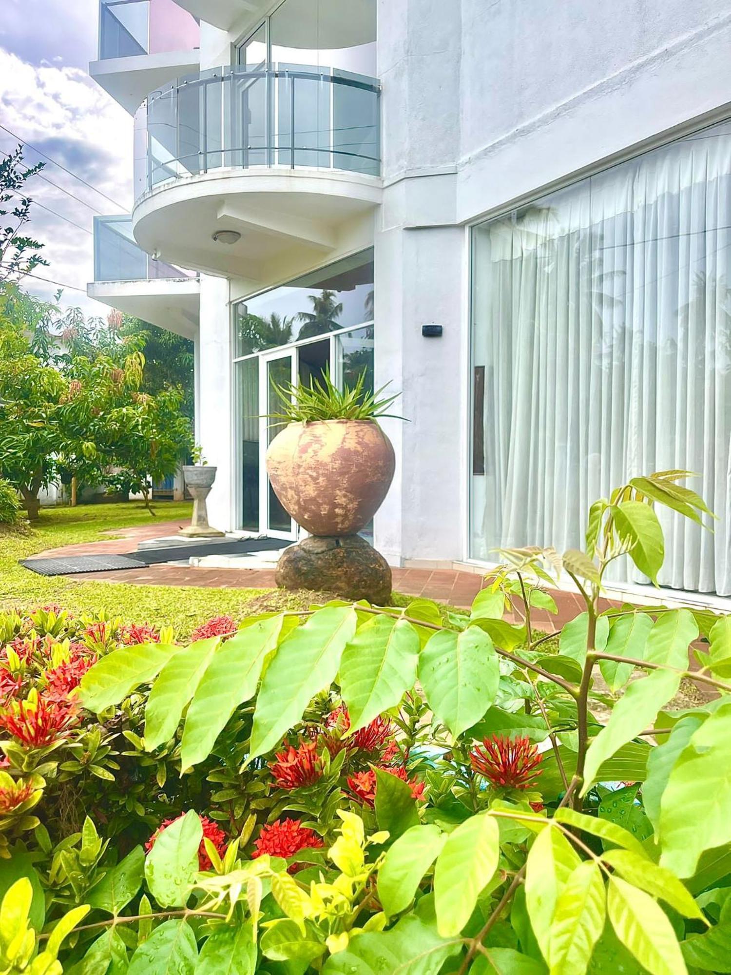 Amaya Beach Hotel Dikwella 外观 照片